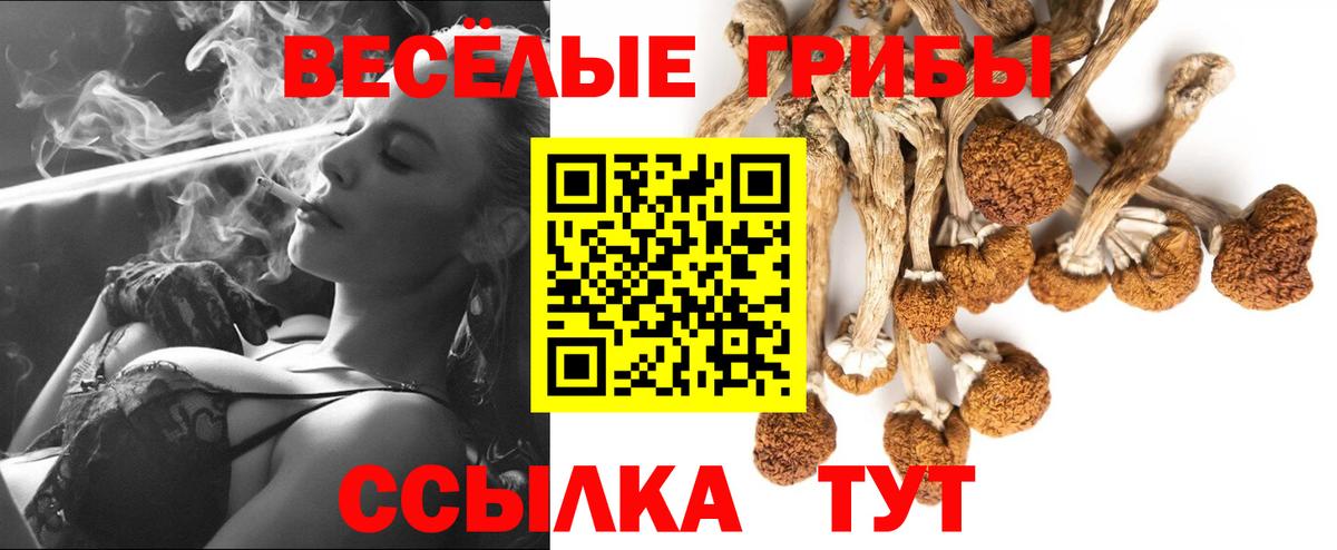 Волгодонск  Галлюциногенные грибы прущие грибы  Галлюциногенные грибы прущие грибы  Вход с VPN 